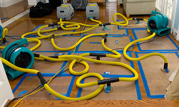 Professional Crawl Space Water Removal technician working in Honor, MI